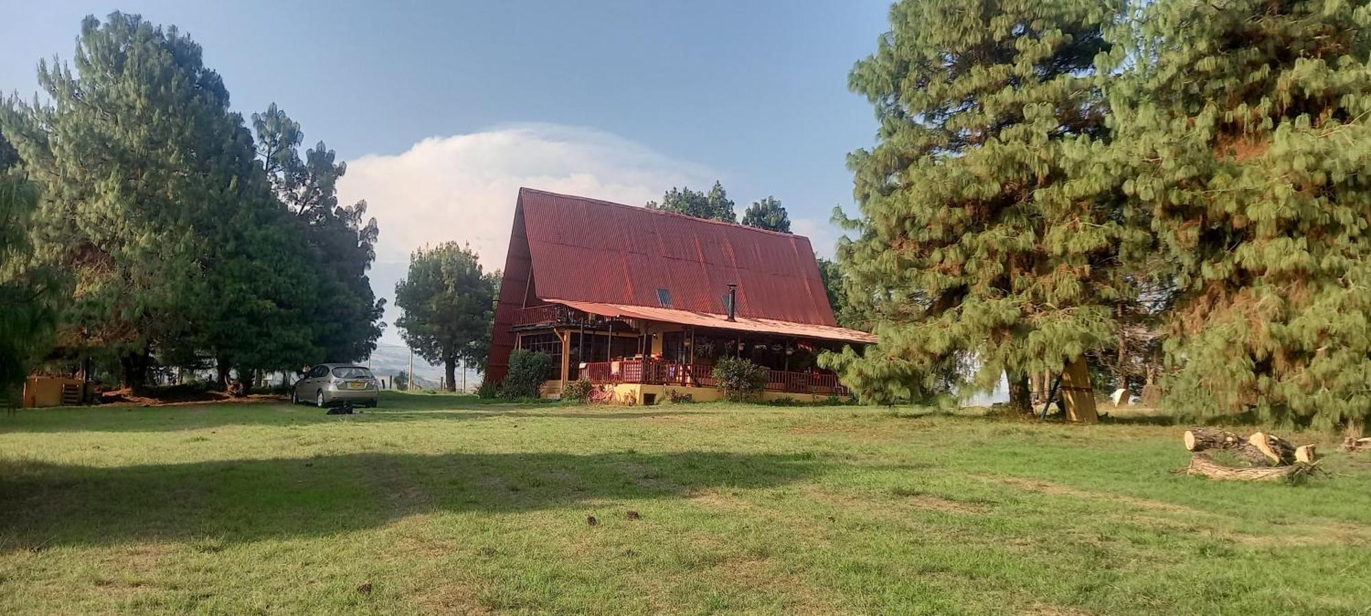 Chalets Amarelo سويسكا المظهر الخارجي الصورة
